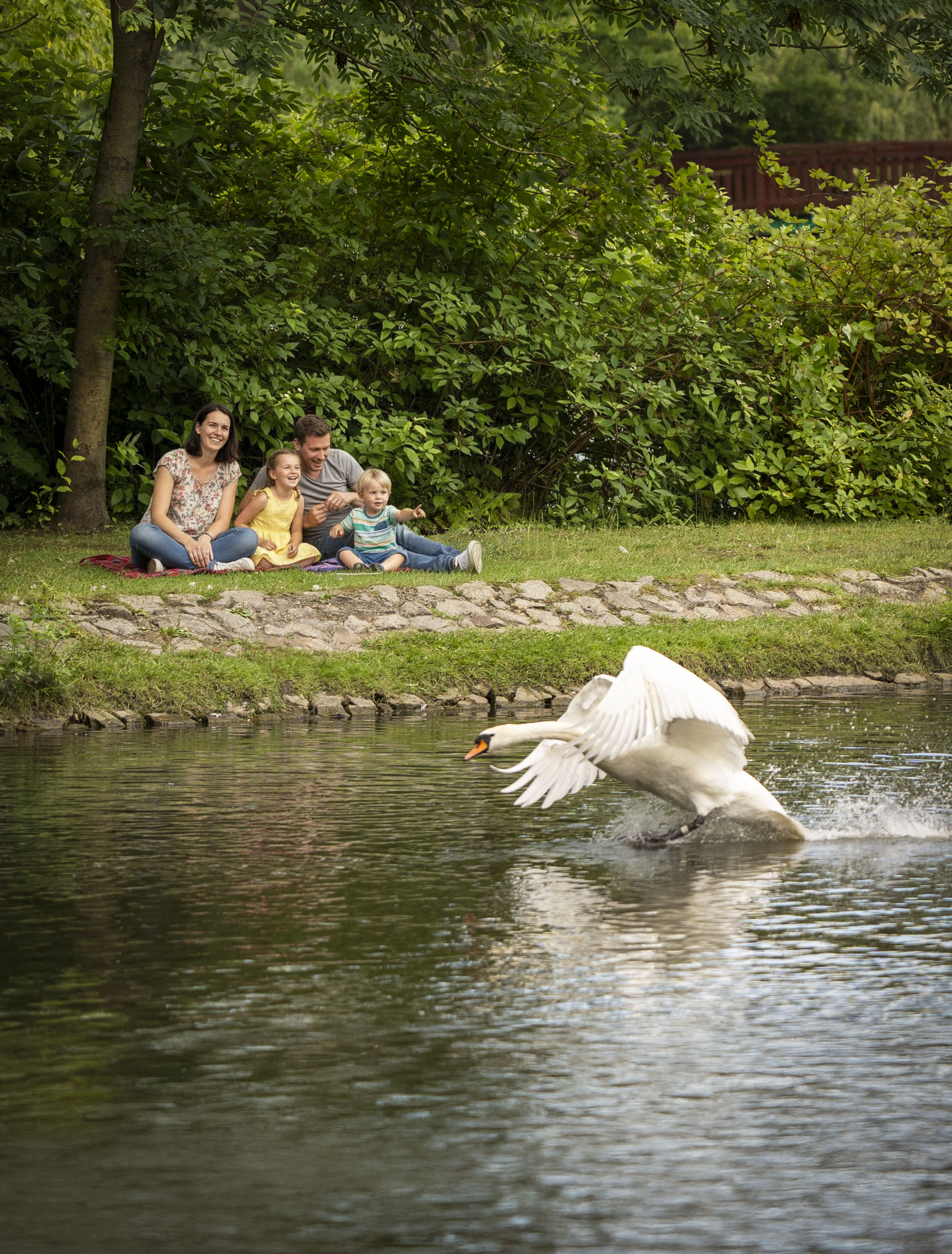 Sesje rodzinne w plenerze