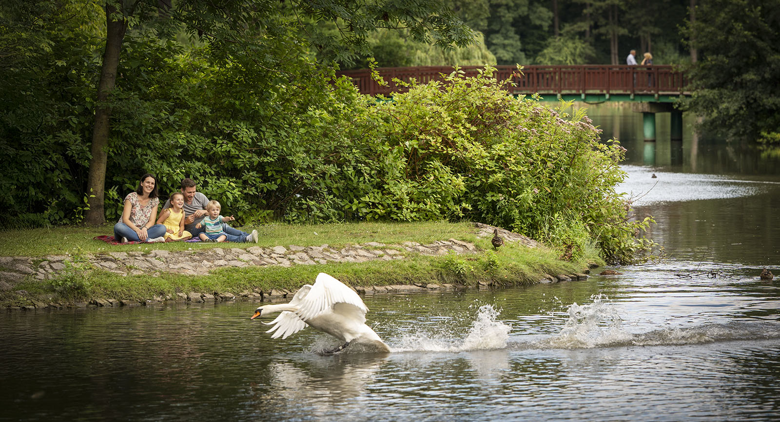 baner_sesje_rodzinne